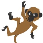 Monkey Kung F