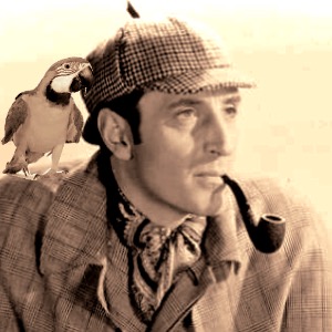 holmes and parrot