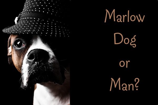 Marlow Dog Man