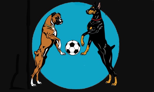 dogs play football in sky
