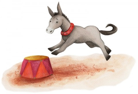 Pinocchio The Circus Donkey by Chiara Civati