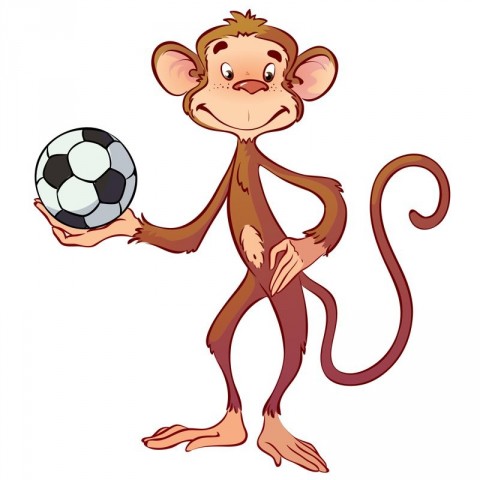 Theo Monkey Footbal
