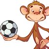 Theo Monkey Football