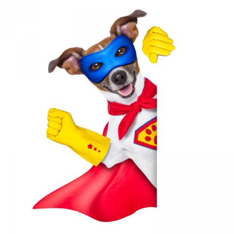 Astropup dog hero