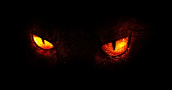 Image result for demon cat eyes