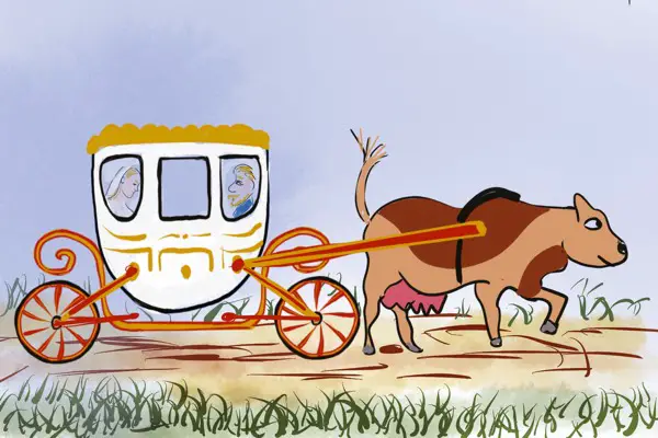 Finette - wedding carriage pulled by cow