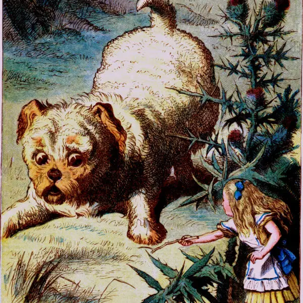 Alice in Wonderland Chapter 4