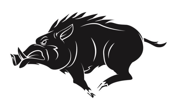 The Wild Boar that came for Croesus