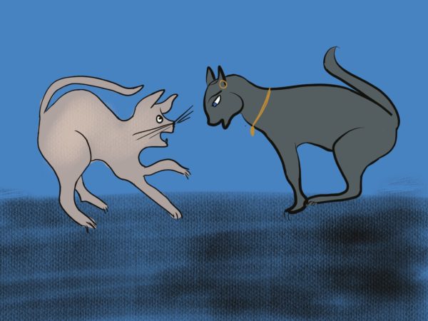 Egypt Cat Fight by Bertie on Storynory
