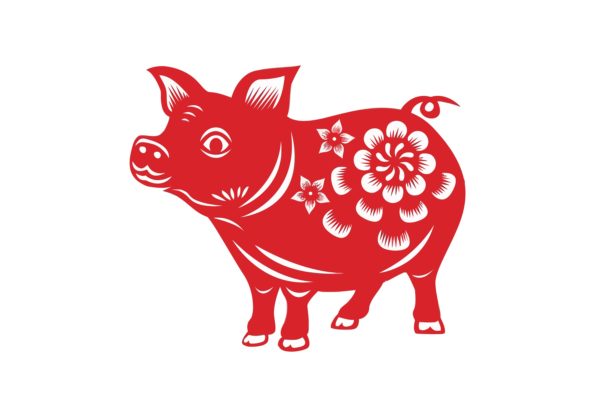 Chinese Year of the Pig