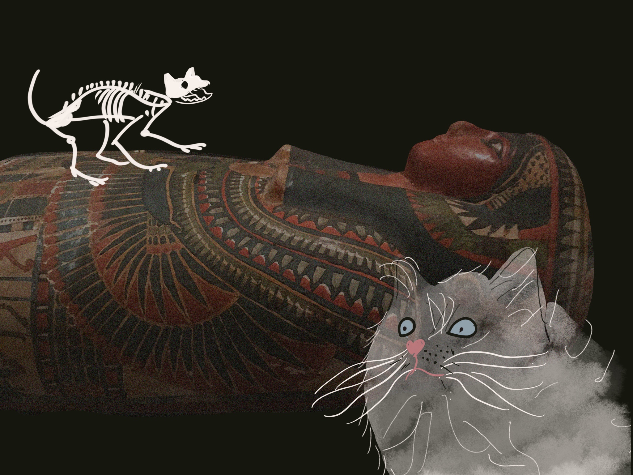 Journey to ancient Egypt in Return of the Cat Mummy