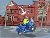 Motor Bike Seagulls