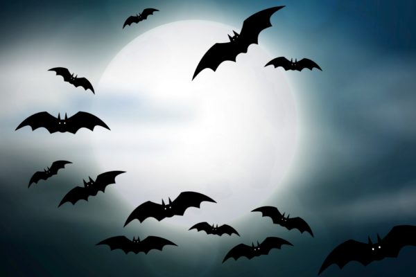 The moon with bats