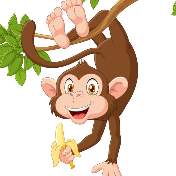 Why Bananas Belong to Monkeys