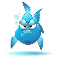 Grumpy Fish face
