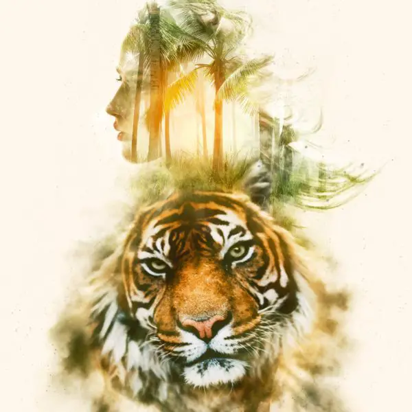 The Tiger Who Became Vegan
