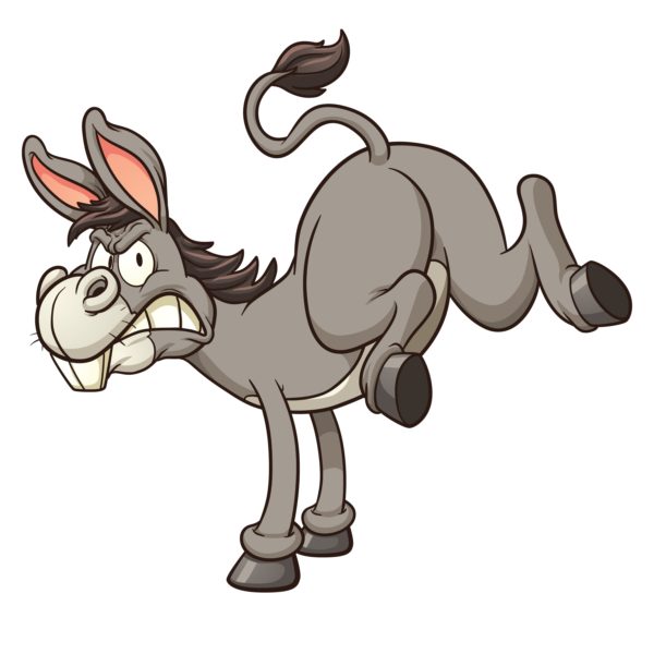donkey kick