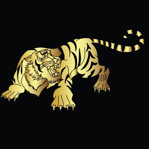 Year of the tiger 2022