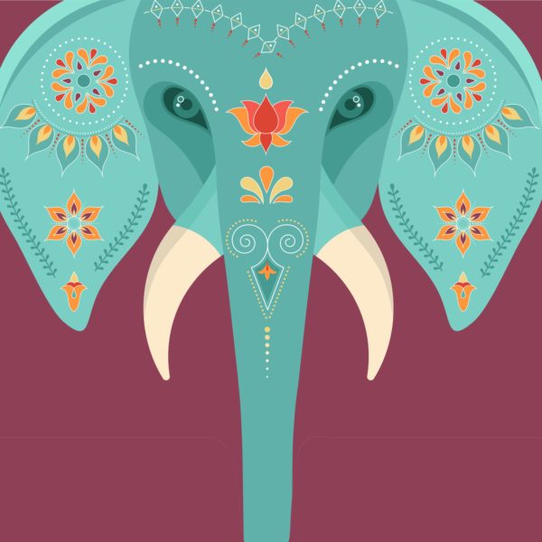 Indian Elephant