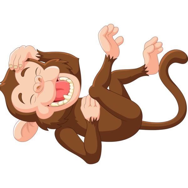 Laughing Monkey