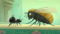 Bed Bug and flea